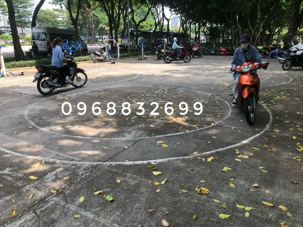Hoạt động dạy học tại trung tâm