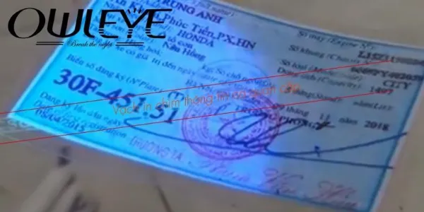 Đường gân in chìm giúp phân biệt giấy tờ xe