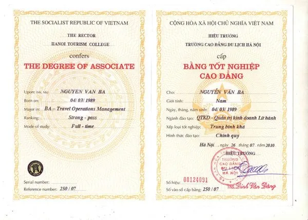 Dịch vụ chuyên nghiệp cung cấp bằng chất lượng