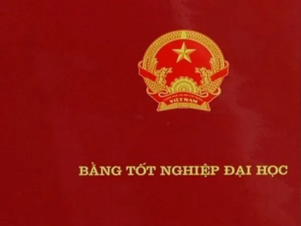 Cơ hội nghề nghiệp rộng mở sau khi sở hữu bằng