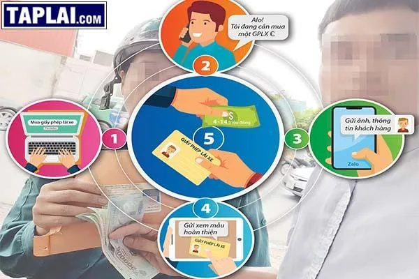 Công nghệ làm giả bằng lái xe tinh vi