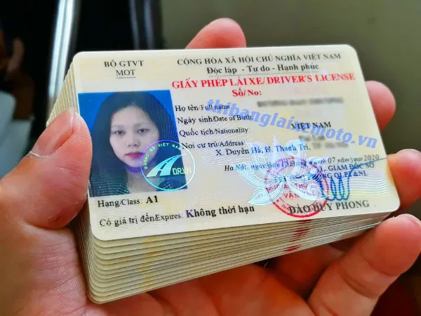 Mua bằng lái xe thật