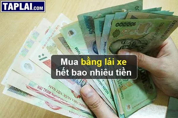 Mua bằng lái xe tiềm ẩn nhiều rủi ro