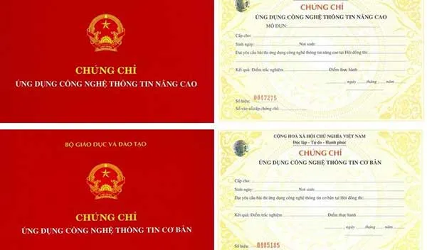 Hệ lụy mua bằng Anh văn giả