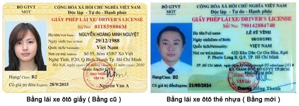 Dịch vụ làm bằng lái xe phôi thật