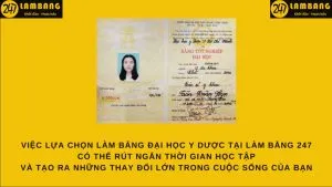 Trang thiết bị giảng dạy hiện đại tại Đại học Y Dược TP.HCM
